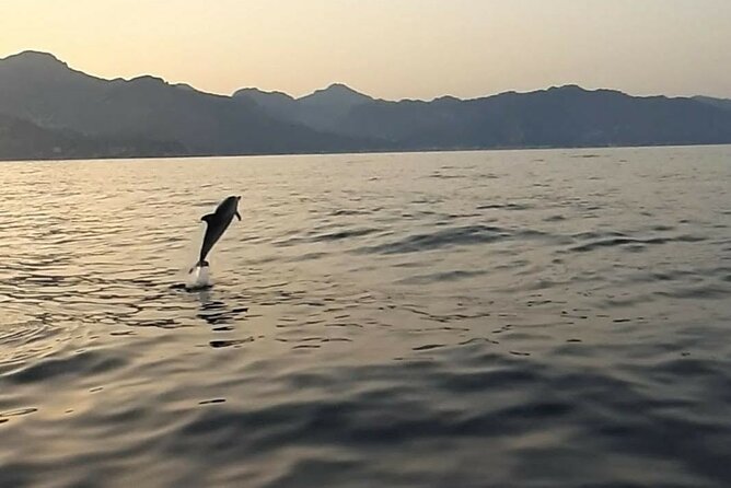 2.5 Hours Sunset Tour With Aperitif in Search of Dolphins - Meeting Point