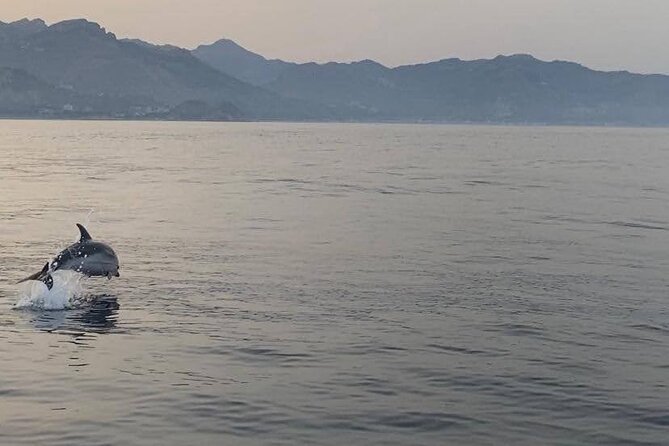 2.5 Hours Sunset Tour With Aperitif in Search of Dolphins - Tour Activity
