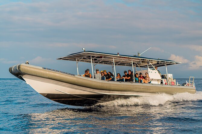 2.5 Hours Whale Watching On A 41 Super-Raft - Inclusions and Amenities