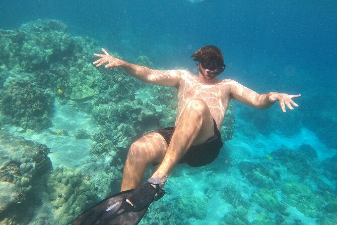 2.5 Hr Morning Snorkel Tour - Inclusions