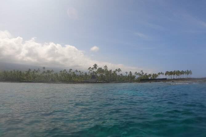 2.5 Hr Morning Snorkel Tour - Marine Life Observation
