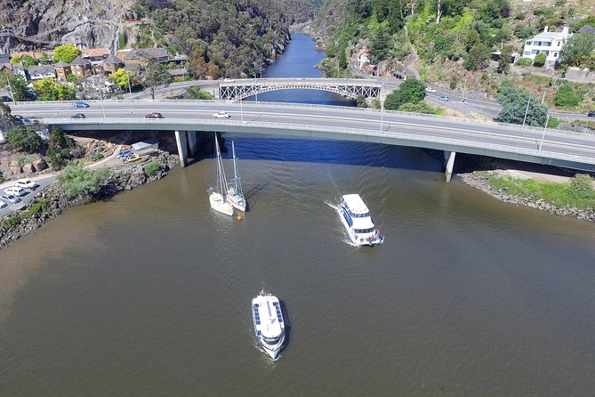 2.50 Hour Afternoon Discovery Cruise Including Cataract Gorge Departing at 3 Pm - Meeting and Pickup