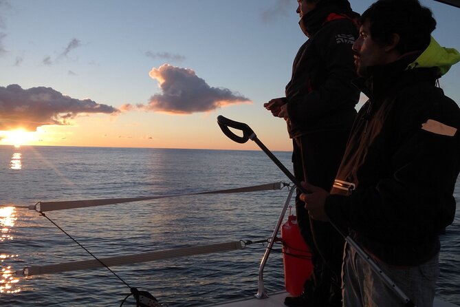 2.5h Sunset Navigation With Azorean Appetizers and Wine - Inclusions and Amenities