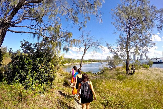 2.5hr Gold Coast Kayaking & Snorkelling Tour - Highlights and Activities
