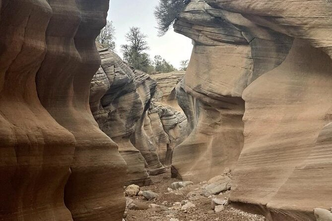 2.5hr Willis Creek/Sunset Tour Paria Valley - Tour Guide Highlights
