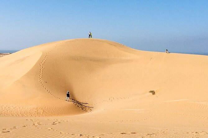 2 Activities in 1 /Quad Biking+ Sandboarding - Combining Two Adrenaline-Fueled Activities