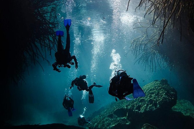 2 Cenote Divings (Including One Deep Diving) for Advanced Divers in Tulum - Health and Safety Policies