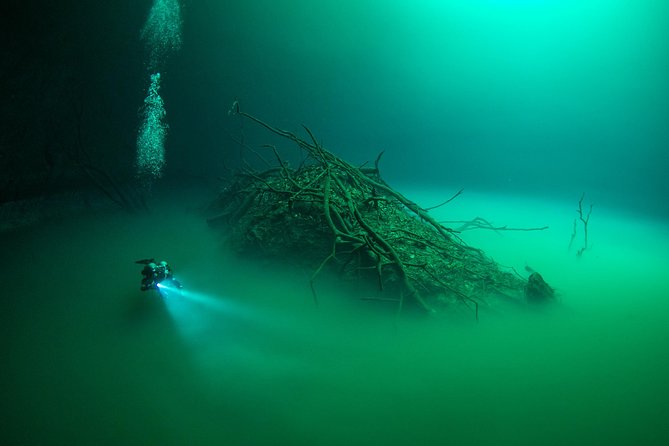 2 Cenote Divings (Including One Deep Diving) for Advanced Divers in Tulum - Meal Provisions