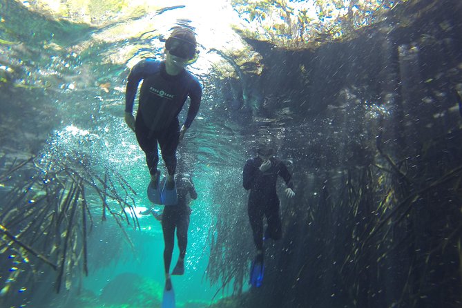 2 Cenotes Adventure From Tulum - Small Group - All Inclusive - Meeting Point and Start Time