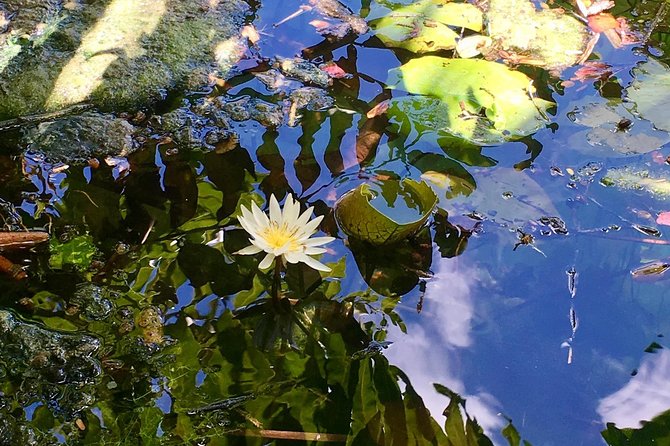 2 Cenotes, Bikes & Lunch - Meeting Point and Transportation