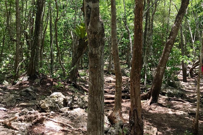2 Cenotes, Bikes & Lunch - Outdoor Adventure Activities