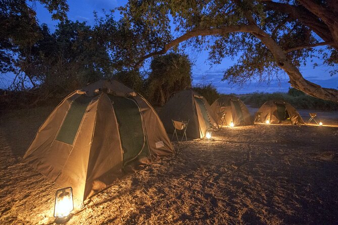 2 Day 1 Night Chobe Safari Ex Livingstone/Victoria Falls - Activity Details