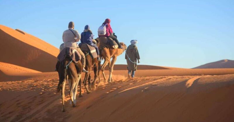 2-Day, 1-Night Desert Trip to Merzouga From Ouarzazate - Inclusions and Exclusions