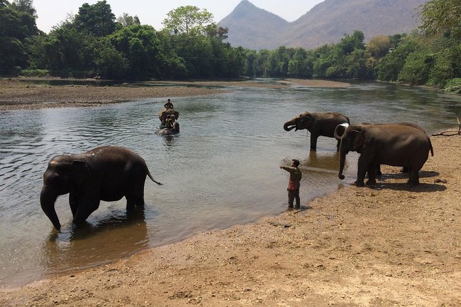 2 Day 1 Night Elephant World Kanchanaburi From Bangkok - Overnight in Thai Cottage