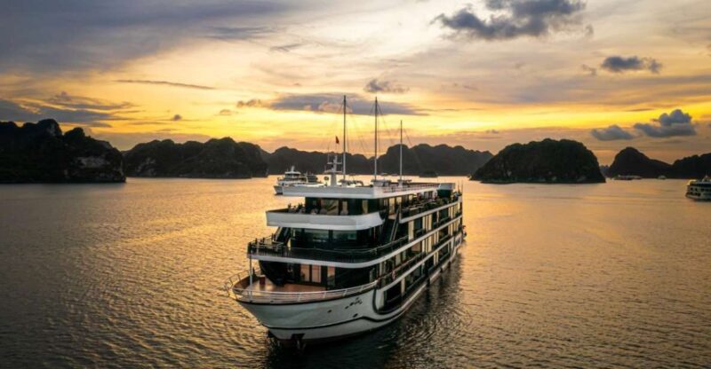 2-Day 1 Night Lan Ha Bay 5-Star Cruise - Cruise Activities