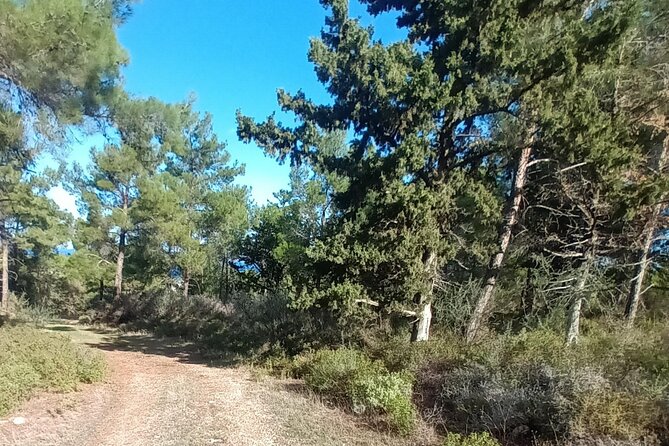 2 Day & 1 Night Private Nature Walking in Unspoilt Kyrenia Range - Bellapais Monastery Experience