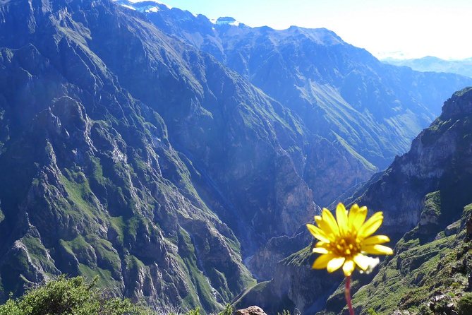 2 Day 1 Night Trek / Colca Canyon - Positive Traveler Feedback