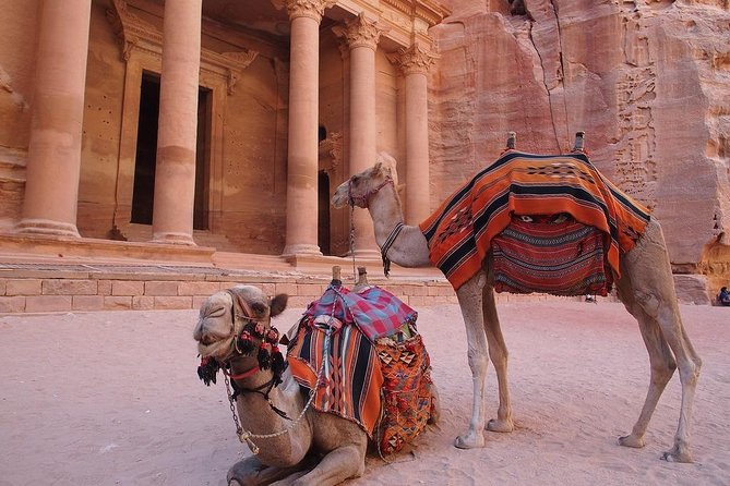 2 Day 1 Night Wadi Rum (Overnight) & Petra Shore Excursion - Key Points