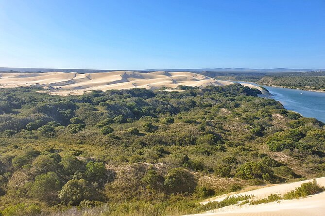 2 Day Addo Elephant Park Safari - Pricing and Reviews