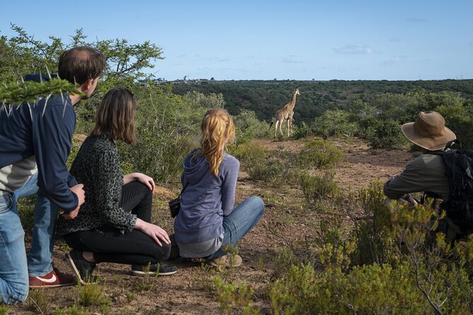 2 Day Addo Elephant Park Safari - Preparing for the Safari