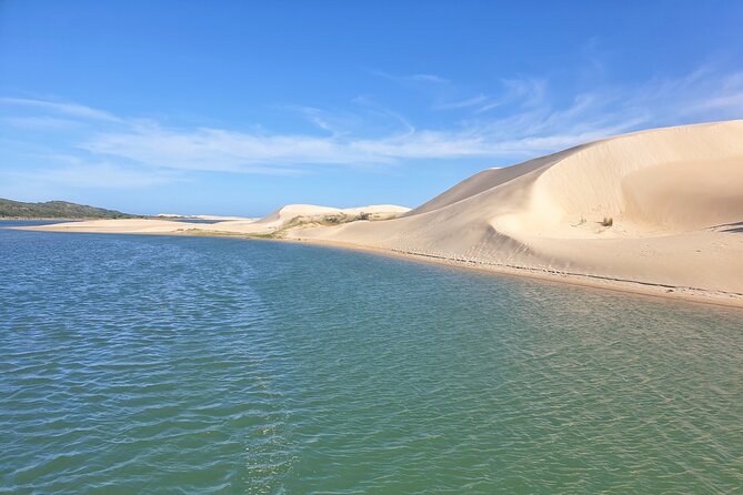 2 Day Addo Elephant Park Safari - What to Expect