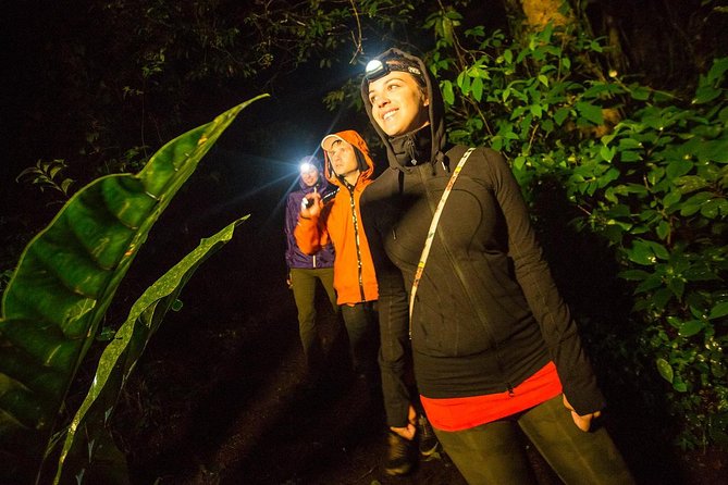 2-Day All Inclusive Guided Jungle Tour From Iquitos at Maniti Eco-Lodge - Wildlife Spotting Opportunities