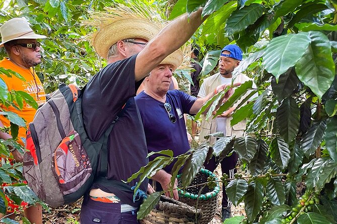 2-Day All-Inclusive Package Along the Coffee Route in the South - About Your Stay