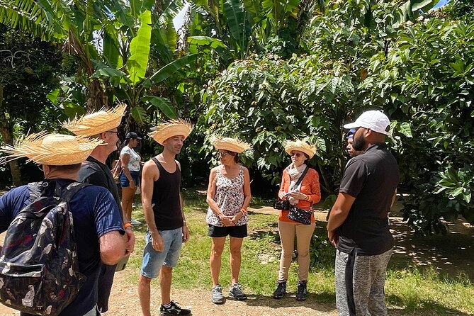 2-Day All-Inclusive Package Along the Coffee Route in the South - Participation Requirements