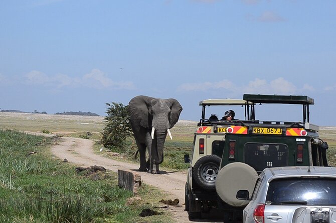 2-Day Amboseli Safari Witness Wildlife & Mt Kilimanjaro View - Exploring Amboseli National Park
