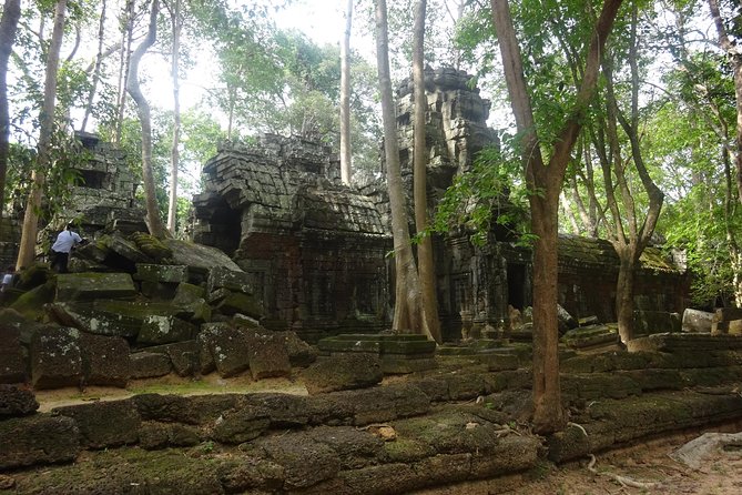 2-Day Angkor Wat With Small, Big Circuit and Banteay Srei Tour - Positive Guest Reviews