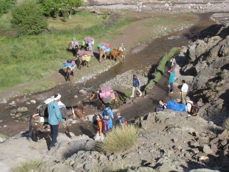 2-Day Atlas Mountains Morocco Trek With Village Stay - Key Points