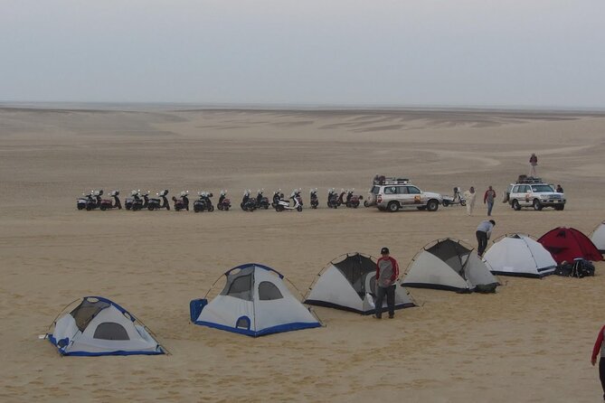 2 Day Bahariya Oasis White Desert Tour - Transportation