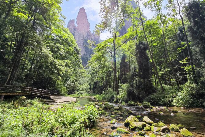 2-Day “Best Of Zhangjiajie”-Avatar World & Tianmen Mountain Tour - Transportation and Guide