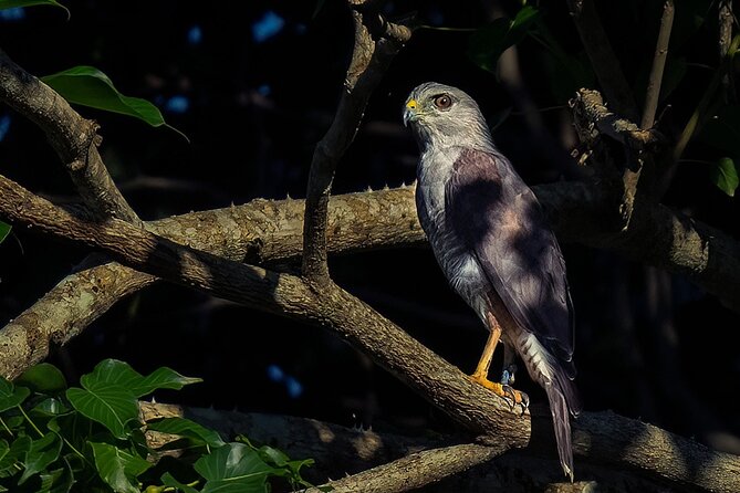2-Day Bird Watching Tour in the Sierra De Bahoruco - Daily Itinerary