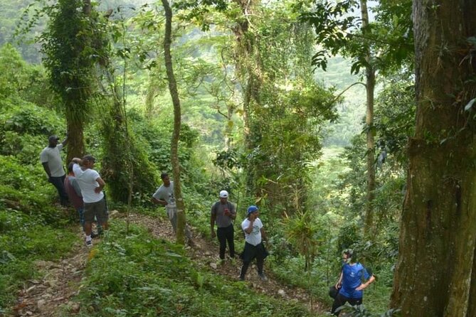 2-Day Bird Watching Tour in the Sierra De Bahoruco - Wildlife Highlights