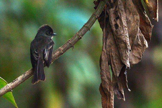 2-Day Bird Watching Tour in the Sierra De Bahoruco - Booking Your Stay
