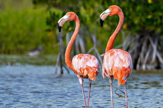 2-Day Bird Watching Tour in the Sierra De Bahoruco - Tour Schedule