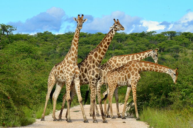 2 Day Budget Safari in Tarangire and Ngorongoro From Arusha - Inclusions