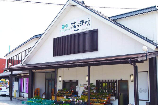 2-Day Bus Tour to Shirakawago & Hida No Sato Winter Illumination - Accessibility and Participation Considerations