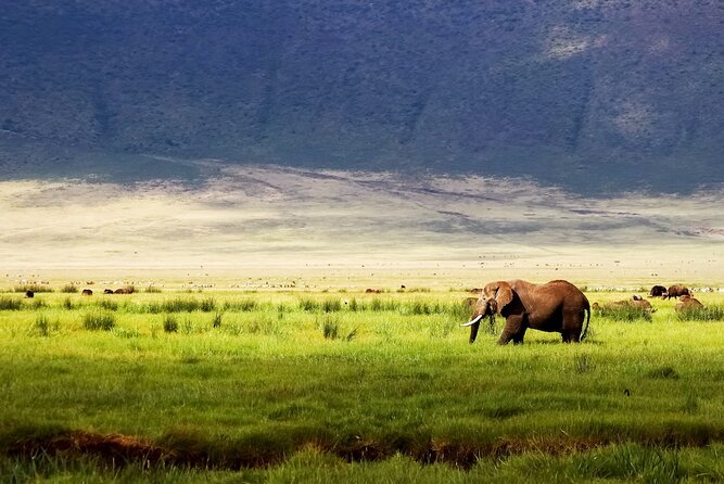 2 Day Camping 4x4 Safari: TARANGIRE & NGORONGORO CRATER - Tour Specifics