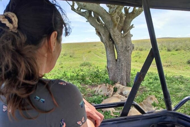 2 Day Camping 4x4 Safari: TARANGIRE & NGORONGORO CRATER - Pickup and Contact