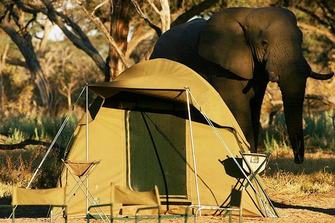 2-Day Camping Safari in Chobe National Park From Victoria Falls - Meeting and Pickup Information