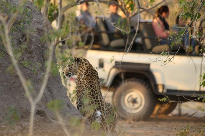 2-Day Camping Safari in Chobe National Park From Victoria Falls - Reviews and Ratings