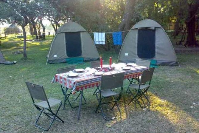 2-Day Camping Safari in Chobe National Park From Victoria Falls - Camping Experience