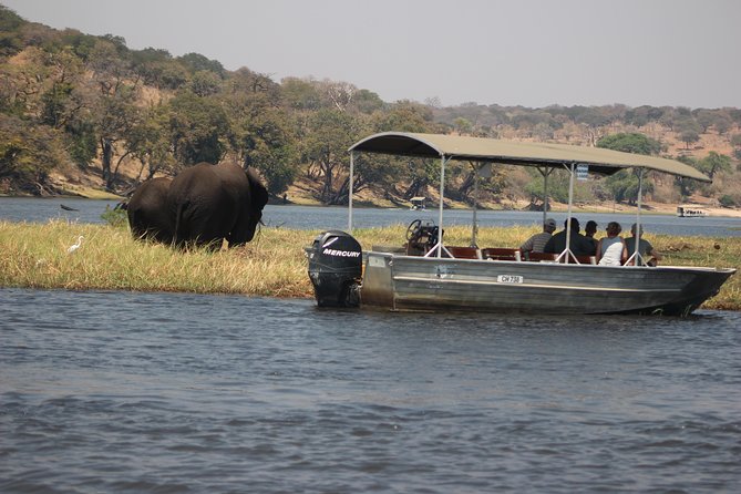 2-Day Camping Safari in Chobe National Park From Victoria Falls - Unique Trip Features