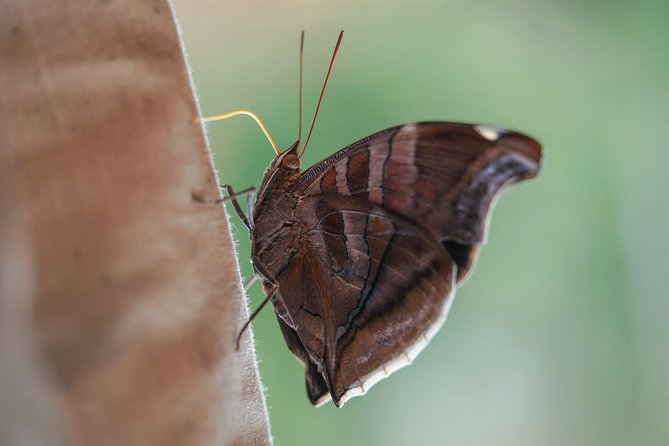 2-Day Camping Tour to Pacaya-Samiria National Park From Iquitos - Immerse in the Rainforest Experience
