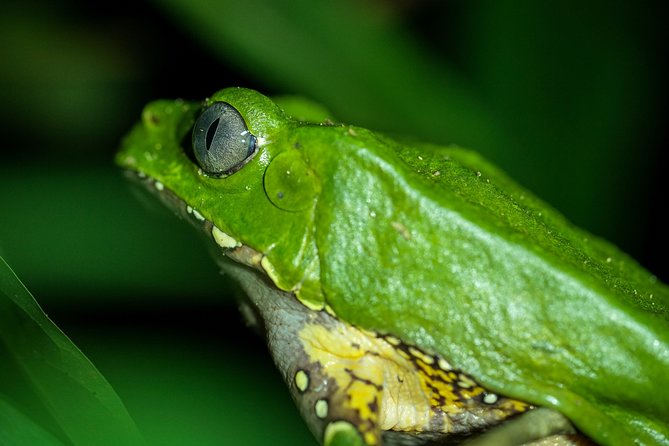 2-Day Camping Tour to Pacaya-Samiria National Park From Iquitos - Comfortable Accommodations in the Park