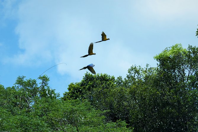2-Day Camping Tour to Pacaya-Samiria National Park From Iquitos - Group Size and Pricing Details