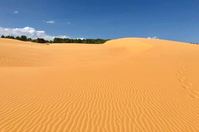 2 Day Car Tour Excursion Dalat and Mui Ne (Minimum 4 Pax) - Reviews and Feedback
