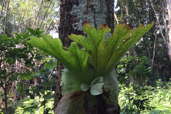 2-Day Chiang Dao and Mae Taeng Valley Active Tour - Accommodations